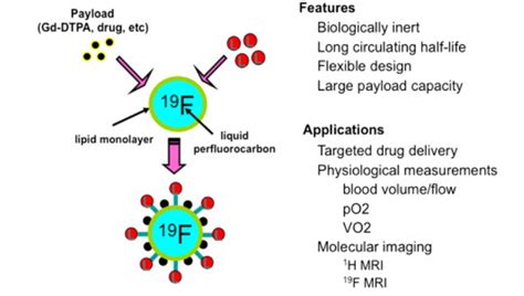 3.11 Future Directions – Selected Topics in Health and Disease (Vol. 3)