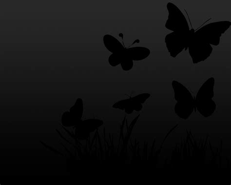 Black and White Butterfly Wallpapers - Top Free Black and White Butterfly Backgrounds ...