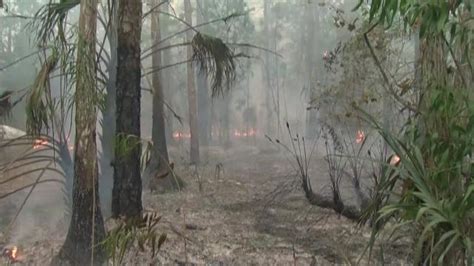 Okefenokee Swamp fire grows to more than 46,000 acres | 11alive.com