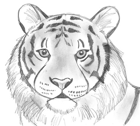Draw 25 Wild Animals (Even If You Don’t Know How to Draw!) | Art Starts