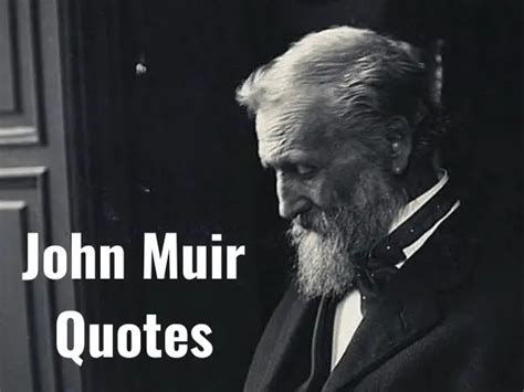 Top 92 Best John Muir Quotes 2024