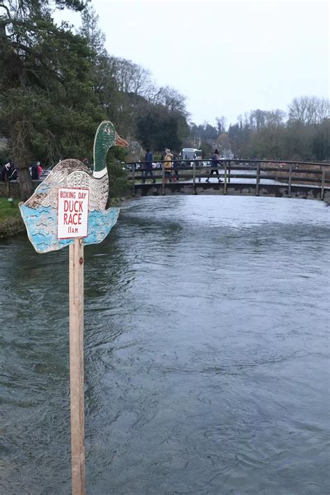 Pictures: crowds enjoy annual Duck Race in the Cotswolds - Gloucestershire Live