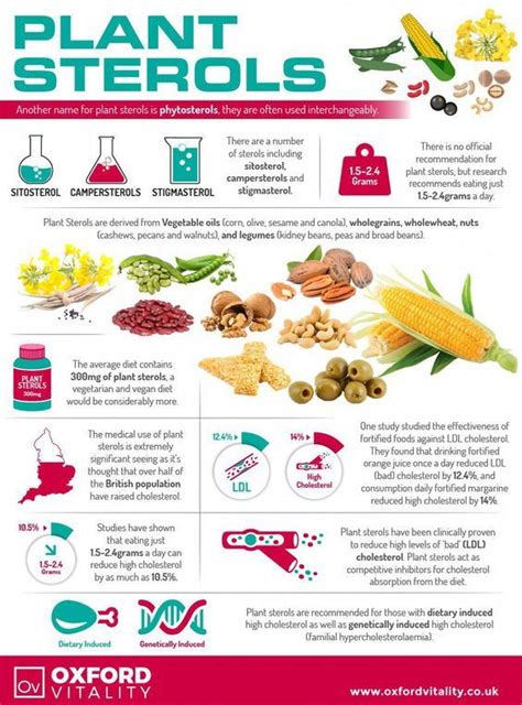 Learn about plant sterols! | Plant sterols, Health and nutrition, Nutrition