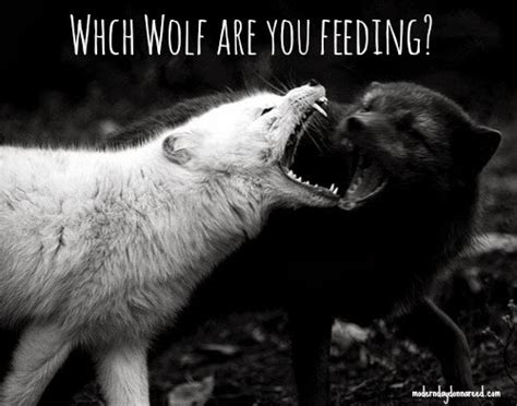 Which Wolf Are You Feeding? | Confessions of a Stay-At-Home Mom