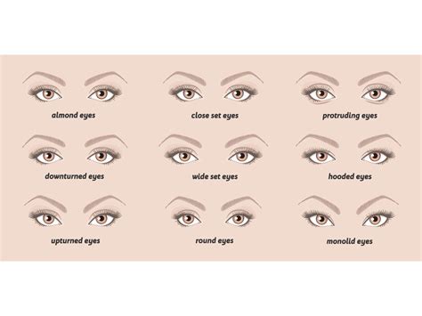 Types Of Makeup For Diffe Eye Shapes - Infoupdate.org