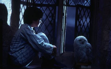 Harry sits by the window — Harry Potter Fan Zone