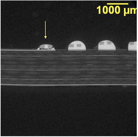 Solder Joint Failure - SEM Lab Inc.