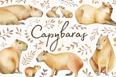 Cartoon Capybara Wallpapers - Wallpaper Cave