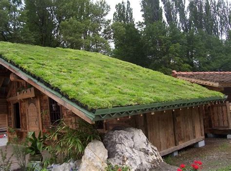 What Are The Advantages And Disadvantages Of Having A Green Roof ...