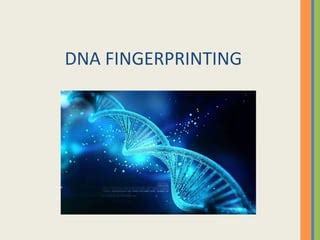 Dna fingerprinting | PPT