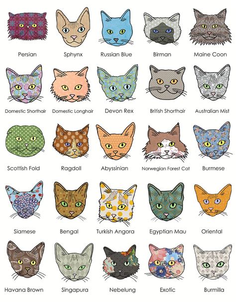 The Essential A-Z Cat Breed Guide - Cat Tree UK