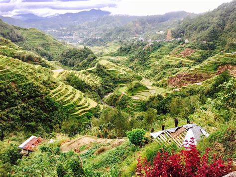 Reisterrassen Von Banaue Meet The Philippines - vrogue.co