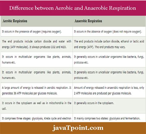 Examples of aerobic and anaerobic bacteria