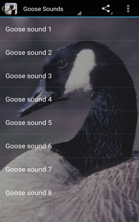 Goose Sounds : Amazon.ca: Apps for Android