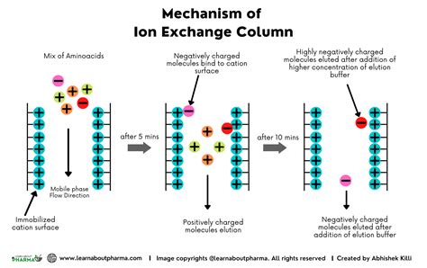 HPLC Columns – Definition, Principle, Types, and Maintenance