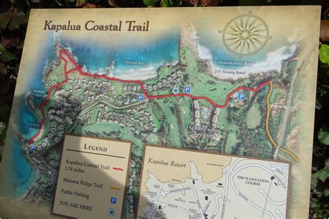 Kapalua Coastal Trail Gallery - The Snorkel Store