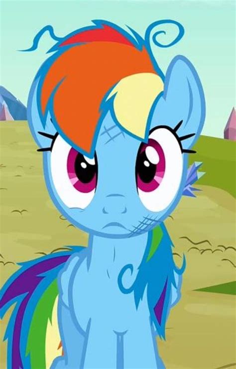 Pin by Season Hauser on MY LITTLE PONY! | Rainbow dash and soarin, Mlp ...