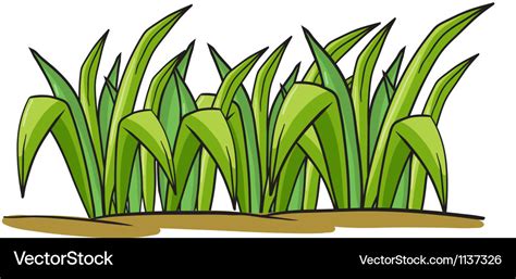 Grass Vector Grass Clipart Grass Vector Grass | Images and Photos finder