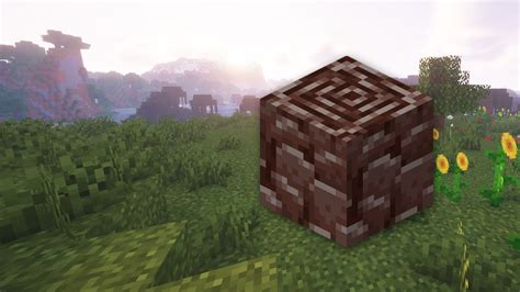 Ancient Debris in Minecraft | GPORTAL