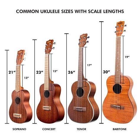 ukulele sizes inches - Google Search | Ukulele sizes, Ukulele, Ukulele strings