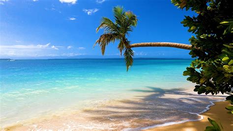 Island Relaxation: Tropical Beach Ambience & Ocean Sounds For Deep ...