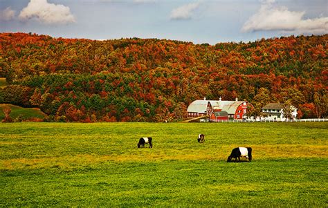 Vermont Farm-3876.jpg photo - Bob photos at pbase.com