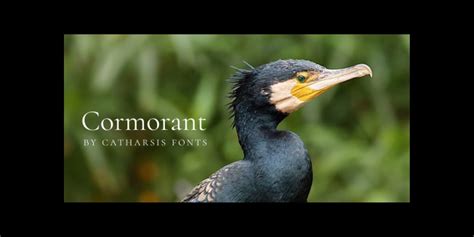 Cormorant Garamond