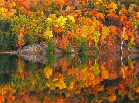 The Best Places to See Fall Foliage in New Hampshire's Lakes Region