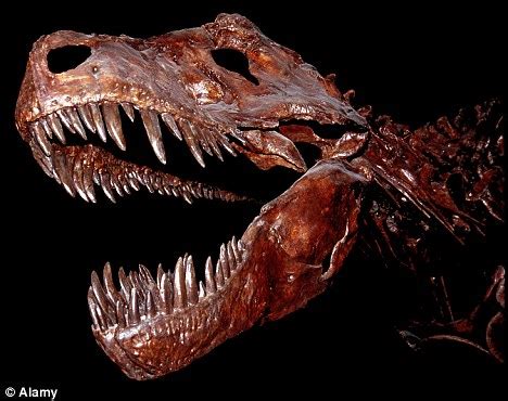 Dinowars: Fossil hunters and scientists turn Jurassic Coast into a battlefront | Daily Mail Online