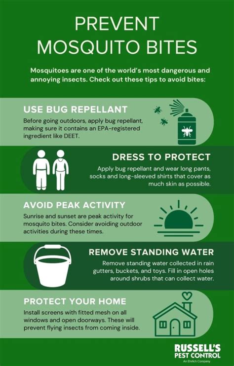 Mosquito Bite Prevention and Treatment | Prevent Mosquito Bites