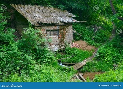 An Old Abandoned Hut in a Green Forest Stock Photo - Image of abandoned ...