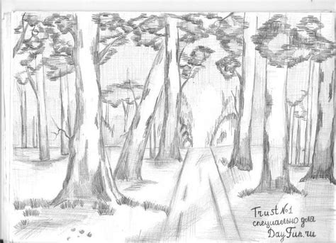 How to draw forest step by step | How to draw forest, Nature art ...