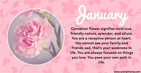 January Birth Flower | January birth flowers, Birth flowers, Birth month flowers