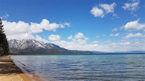 17 Dog-Friendly Beaches in Lake Tahoe [+ Dog Parks]