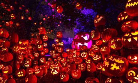 JACK-O-LANTERN SPECTACULAR - Updated December 2024 - 643 Photos & 176 ...