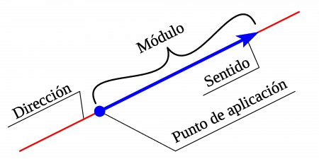 ¿Qué son las magnitudes escalares y vectoriales? - Curiosoando