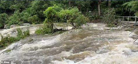 Intense flooding in Queensland claims TWO lives - including an SES volunteer on way to rescue a ...