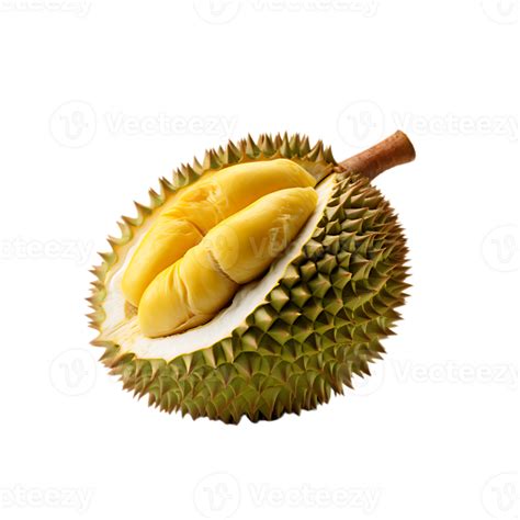 fresh durian fruit, ai generative 30751102 PNG