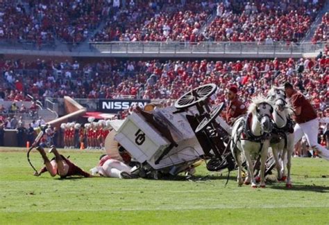 Oklahoma Sooners' mascot wagon crashes on the field | Odds