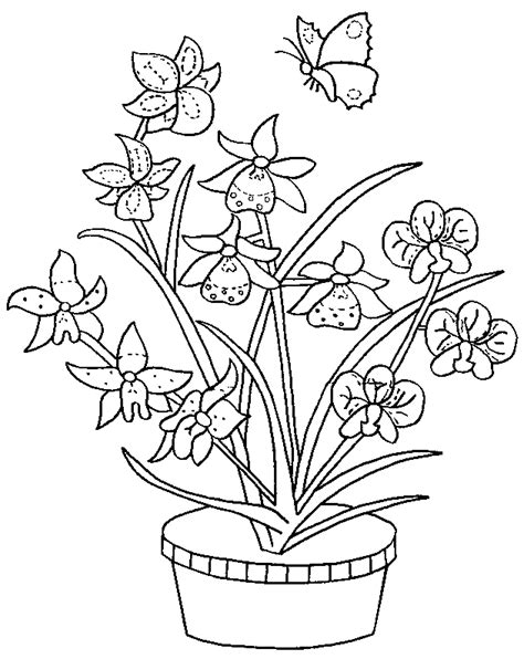 Bouquet of flowers #161091 (Nature) – Free Printable Coloring Pages