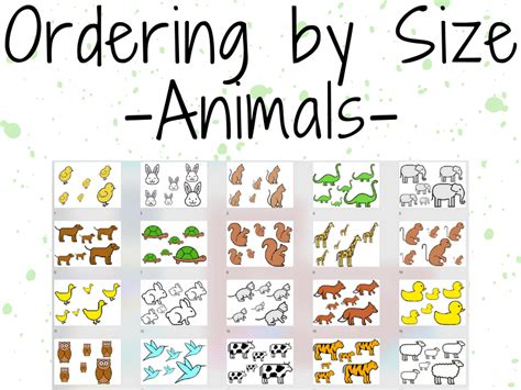 Ordering by Size (Animals) | Teaching Resources