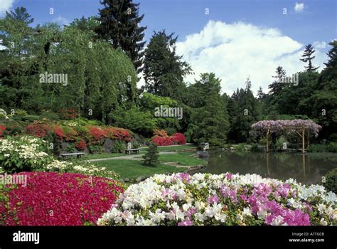 USA, Washington, Seattle, Washington Park Arboretum, Japanese Garden ...