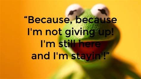 9 Inspirational Quotes from Kermit the Frog! (8/17/15)* | NineFrogs