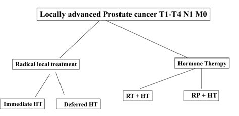 Treatment options for T1-T4 N+ M0 prostate cancer candidates ...