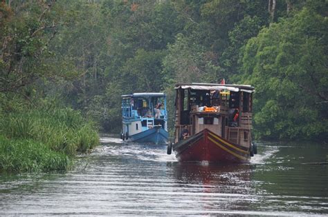 Cruising Tanjung Puting National Park by Klotok – BE BORNEO