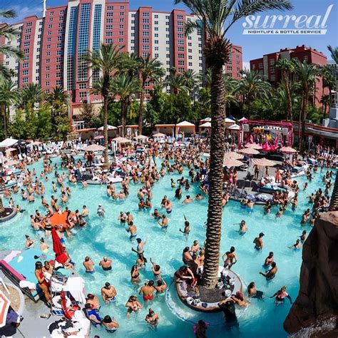 Flamingo Go Dayclub Las Vegas | Surreal