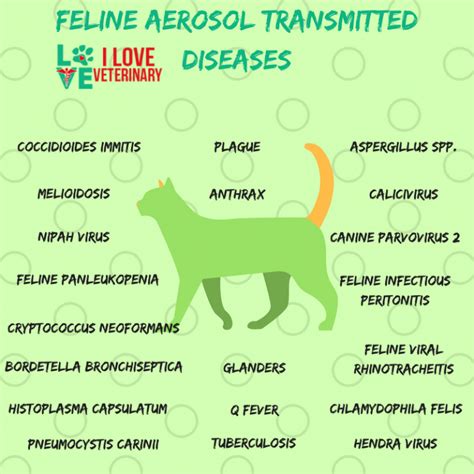 Transmission of Feline Diseases | Vet medicine, Feline panleukopenia, Veterinary