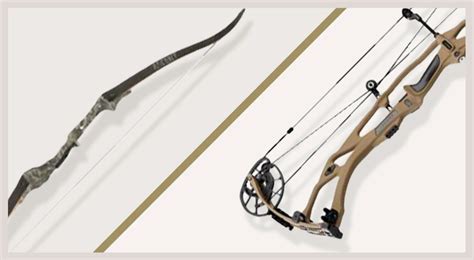 Recurve vs. Compound Bow: What’s the Difference? | SCHEELS.com