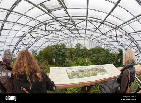 "Skywalk" of the Masoala rainforest hall in Zurich zoo Stock Photo - Alamy