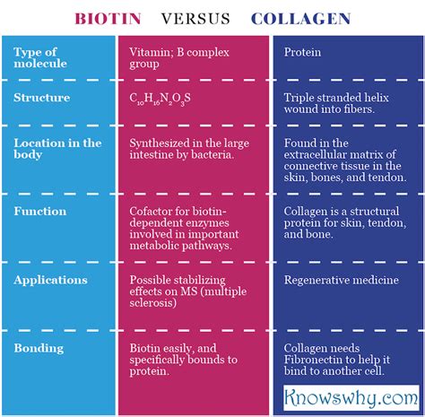 Differences between Collagen and Biotin - KnowsWhy.com